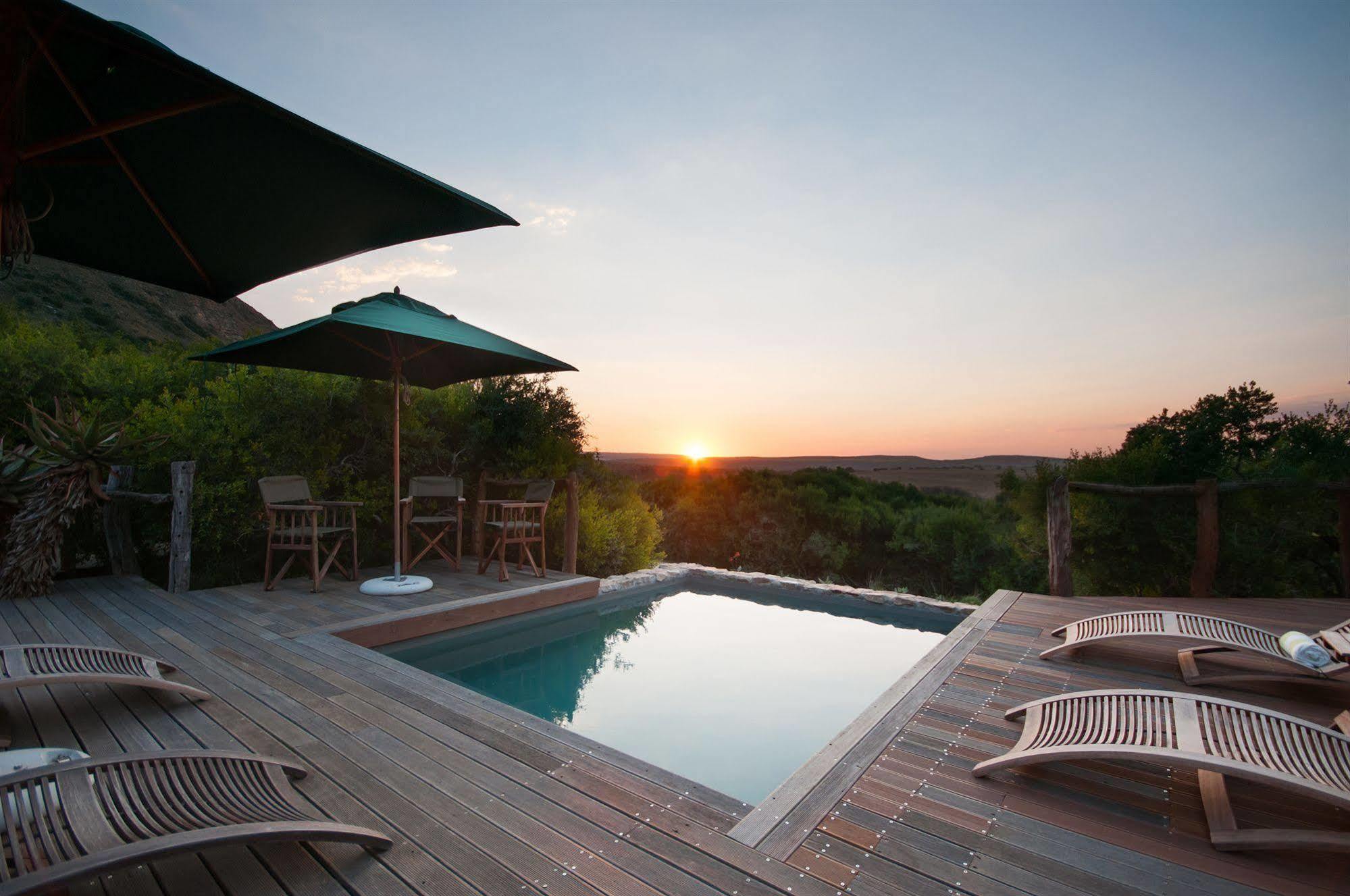 Hillsnek Safari Camp - Amakhala Game Reserve Zewnętrze zdjęcie