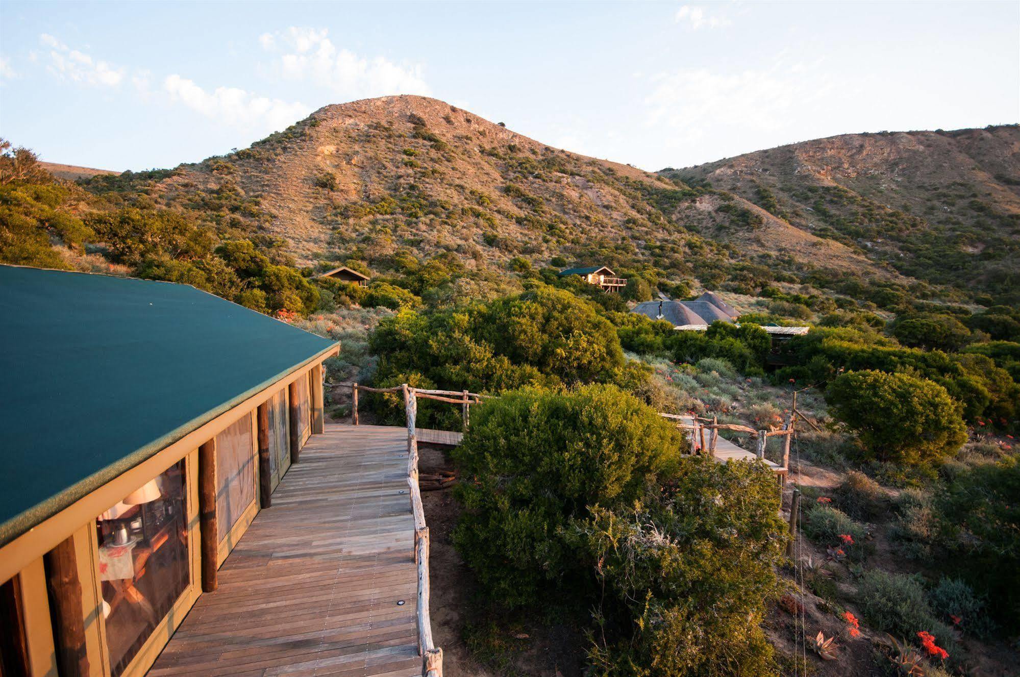 Hillsnek Safari Camp - Amakhala Game Reserve Zewnętrze zdjęcie