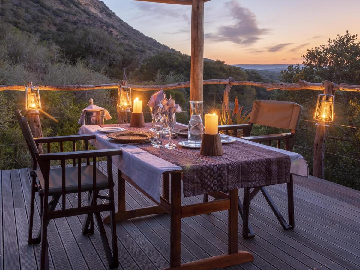 Hillsnek Safari Camp - Amakhala Game Reserve Zewnętrze zdjęcie
