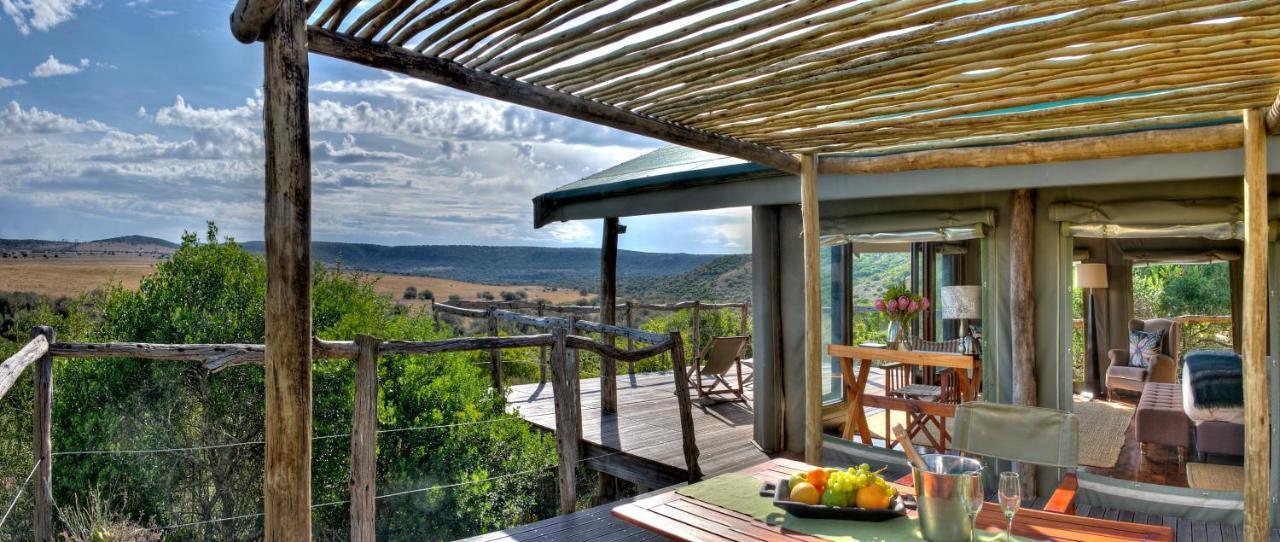 Hillsnek Safari Camp - Amakhala Game Reserve Zewnętrze zdjęcie